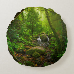 Coussins Ronds Asiatique tropicale jungle forestière, forêt, envi