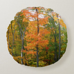 Coussins Ronds Automne Maple Trees Automne Photographie de la nat