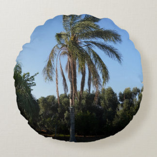 Coussins Ronds Balayage d'un palmier sous un ciel clair