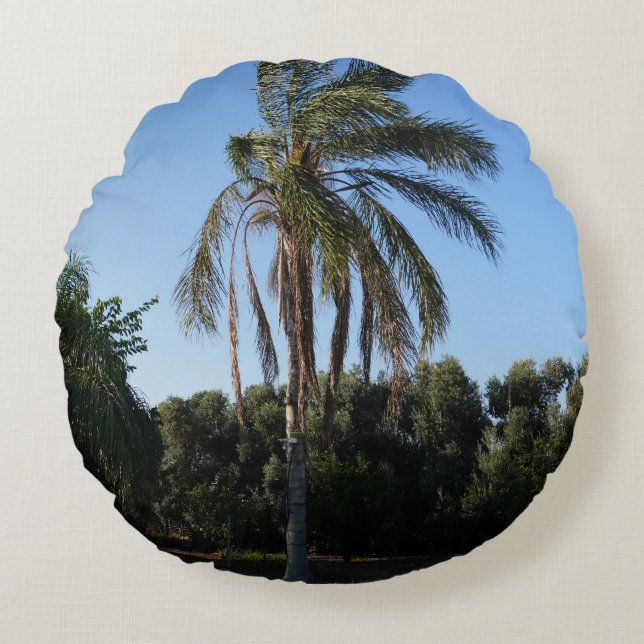 Coussins Ronds Balayage d'un palmier sous un ciel clair (Devant)