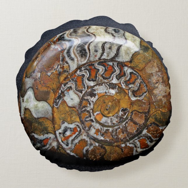 Coussins Ronds Beau carreau rond de Shell d'escargot (Dos)