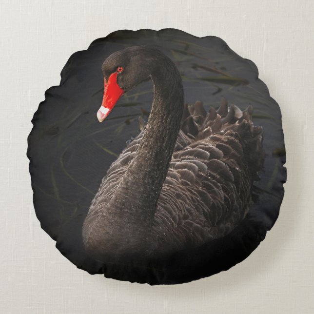 Coussins Ronds Beau cygne noir avec un bec rouge vif (Devant)