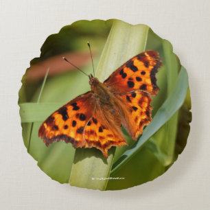 Coussins Ronds Beautiful Orange Satyr Comma Butterfly