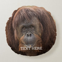 Belle photographie de Borneo Orangutan
