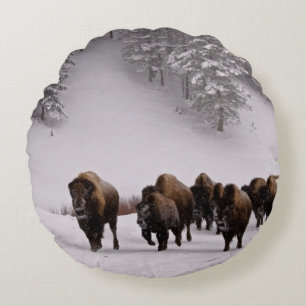 Coussins Ronds Bison en hiver