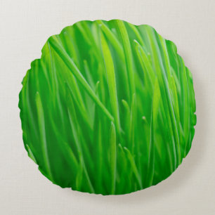 Coussins Ronds Blé vert vibrant frais