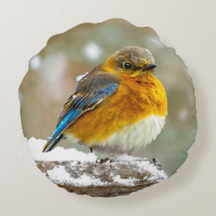 Coussins Ronds Bleuet de l'Est en neige - Photo originale