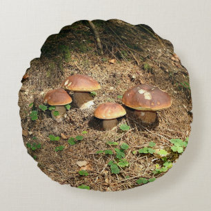 Coussins Ronds boletus