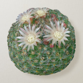 Coussins Ronds Cactus Naturel Vert Fleurissant Épineux