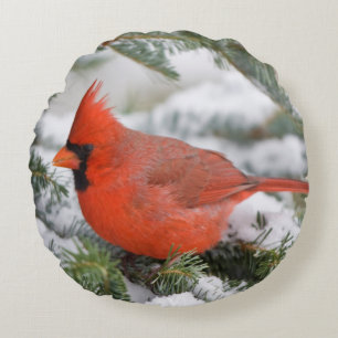 Coussins Ronds Cardinal rouge dans un sapin baumier en hiver