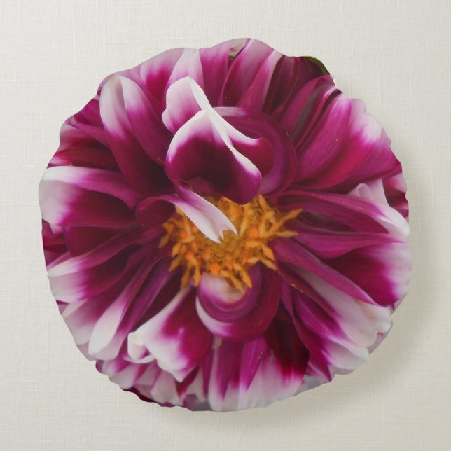 Coussins Ronds Cartheuserine (Dos)