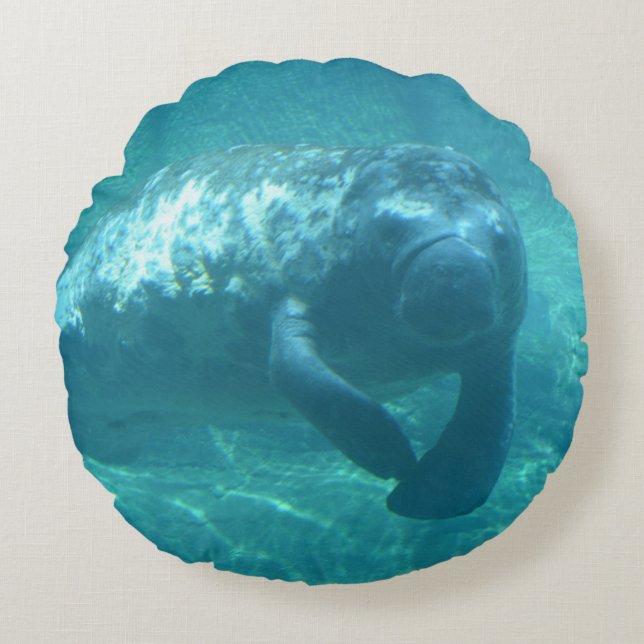 Coussins Ronds Catégorie faite sur commande un carreau rond de (Devant)