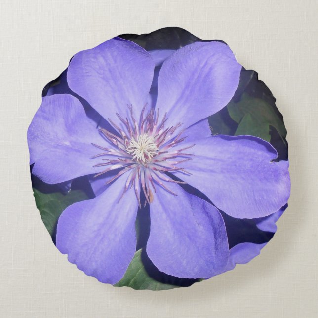 Coussins Ronds Césarine (Dos)