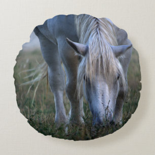 Coussins Ronds Cheval blanc