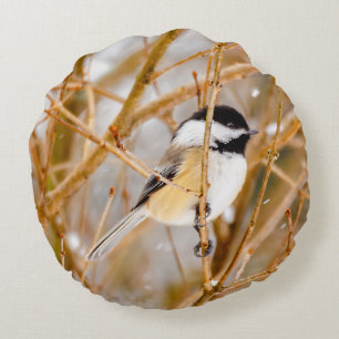 Coussins Ronds Chickadee au plafond noir - Photo originale