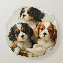 Chiots Cavalier King Charles Spaniel Noël