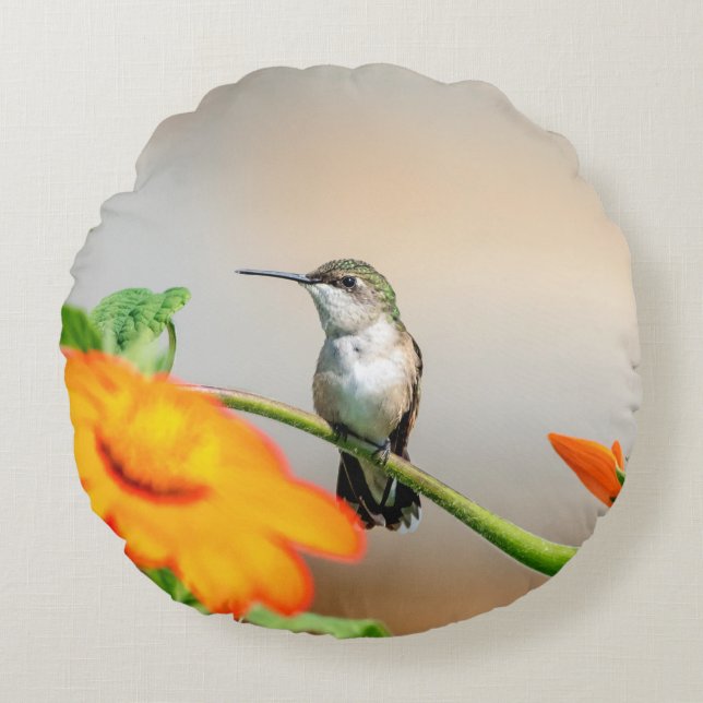 Coussins Ronds Colibri sur un plante à fleurs (Devant)