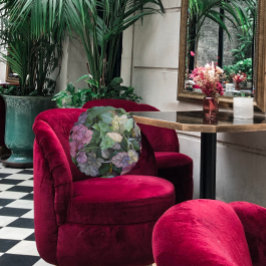 Coussins Ronds Colorful Heuchera Plante Feuille Botanique