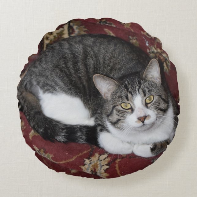 Coussins Ronds Courbez-vous avec un chat (Devant)