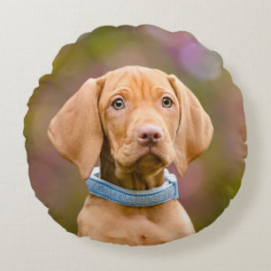 Coussins Ronds Cute chiot hué Hongrois Vizsla Chien Chien Chien P
