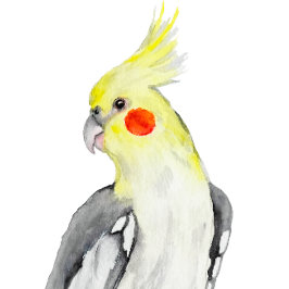 Coussins Ronds Cute Cockatiel Aquarelle Parrot.