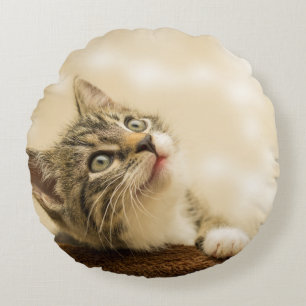 Coussins Ronds Cute Kitten avec une paille étirée