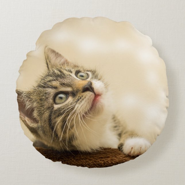 Coussins Ronds Cute Kitten avec une paille étirée (Devant)