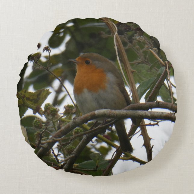 Coussins Ronds Cute Robin in the Park Round Pillow (Devant)