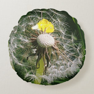 Coussins Ronds Dandelion mignon