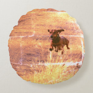 Coussins Ronds Daschund Dog Jumping dans le champ Photo