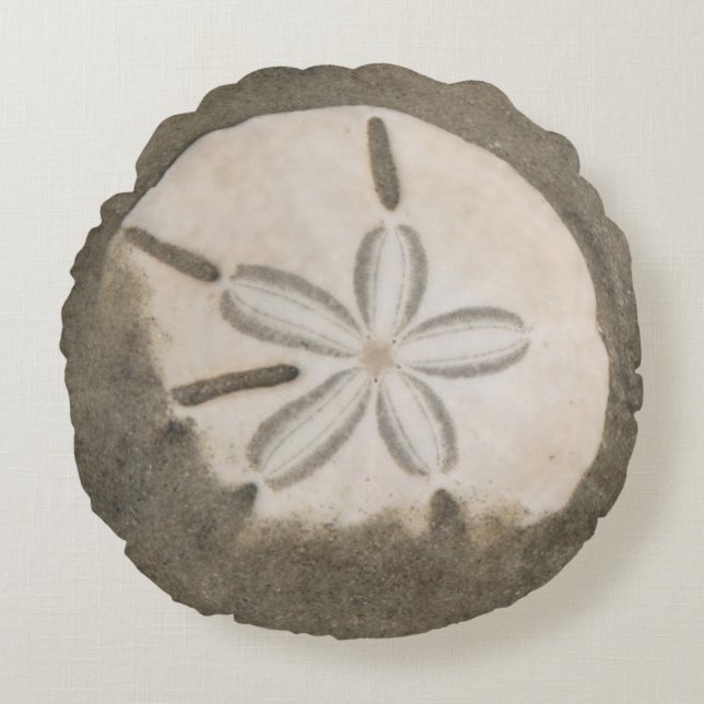 Coussins Ronds Dollar de sable (Echinarachnius parma) (Devant)