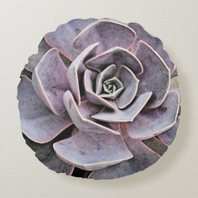 Coussins Ronds Echeveria "rose" Succulent (Devant)
