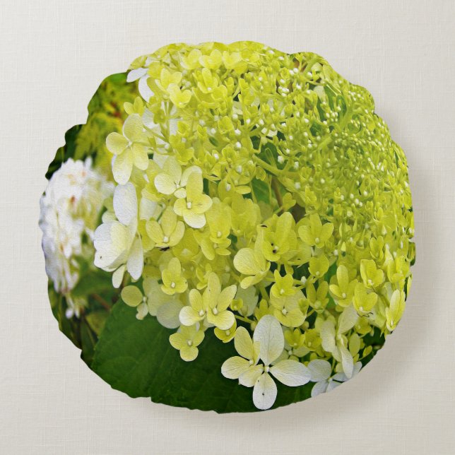 Coussins Ronds Élégante Chartreuse Vert Limelight Hydrangea (Devant)