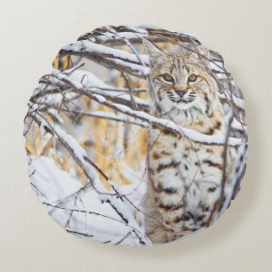 Coussins Ronds États-Unis, Wyoming, Bobcat