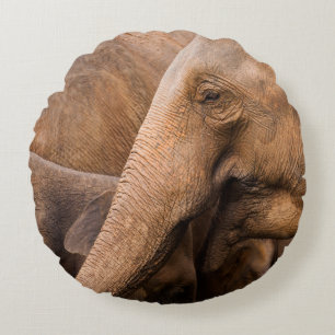 Coussins Ronds Famille des éléphants : Faune majestueuse