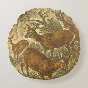 Coussins Ronds Famille des oeufs de poisson - cerfs communs dans