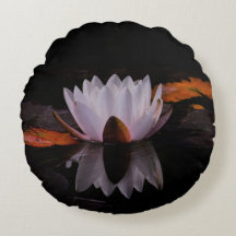 Fleur de lotus blanc zen