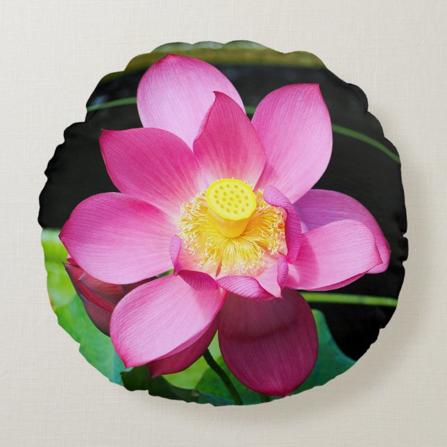 Coussins Ronds Fleur de Lotus rose chaud (Devant)