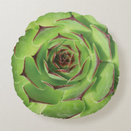 Coussins Ronds Fleur de printemps des cactus succulents verts