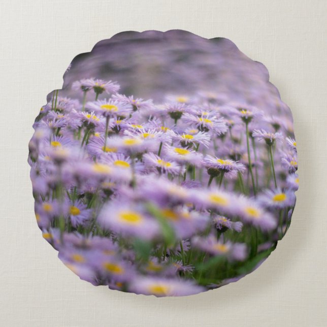 Coussins Ronds Fleurs d'aster violet (Devant)