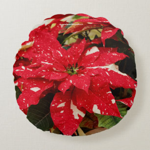 Coussins Ronds Fleurs festives rouges et blanches de Poinsettia