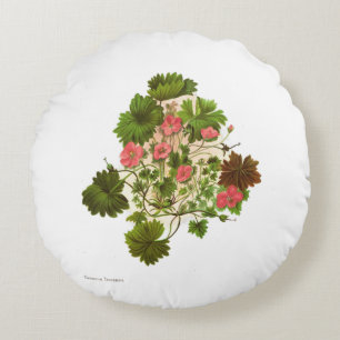 Coussins Ronds Fleurs vintages de NZ de la Science - traversii de