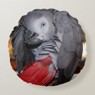 Coussins Ronds Flexible Congo perroquet gris africain avec queue