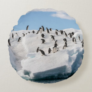Coussins Ronds Gentoo Penguin Antarctica Iceberg Playtime