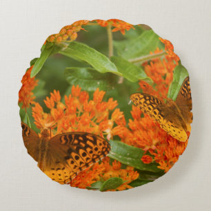 Coussins Ronds Grands fritillaires à bordure étoilée sur Asclépia