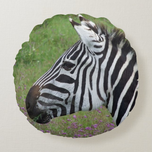Coussins Ronds Gros plan de Ngorongoro Zebra (Devant)