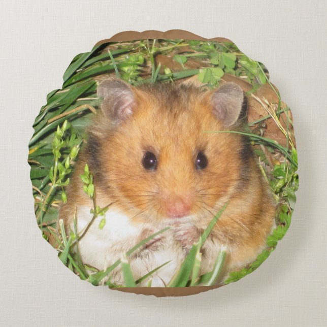 Coussins Ronds Hamster syrien (Devant)