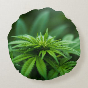 Coussins Ronds Herbe magnifique