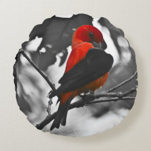 Coussins Ronds Homme Scarlet Tanager