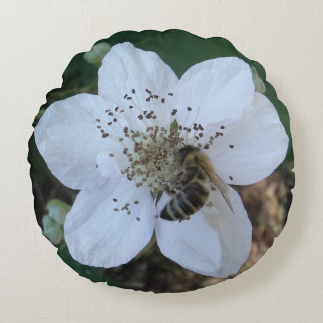 Coussins Ronds Honeybee on blackberry flower (Devant)